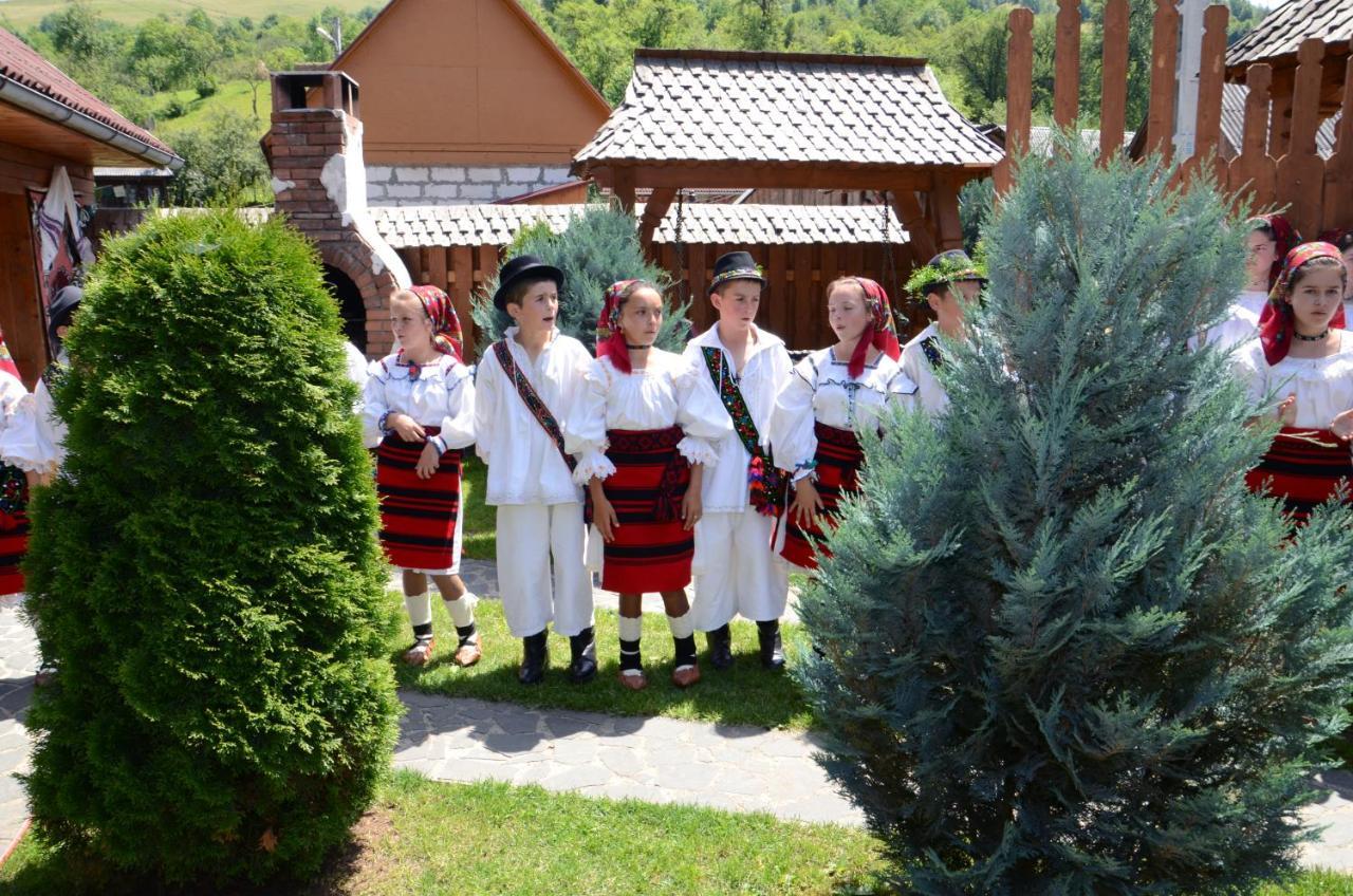 Pensiunea Cretuca Botiza Buitenkant foto