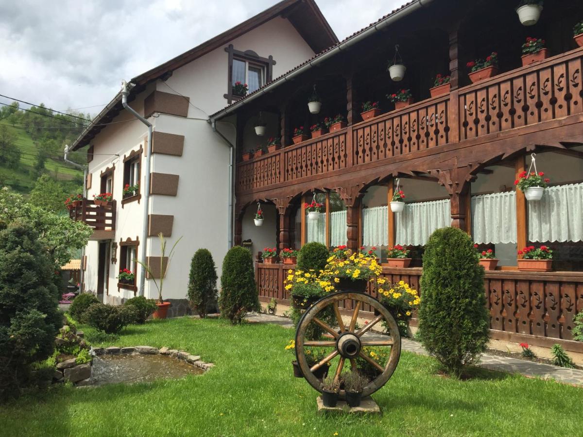 Pensiunea Cretuca Botiza Buitenkant foto