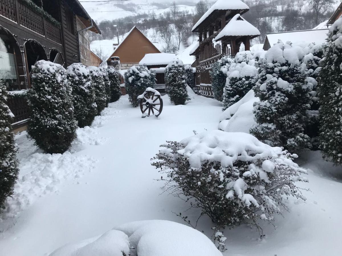 Pensiunea Cretuca Botiza Buitenkant foto