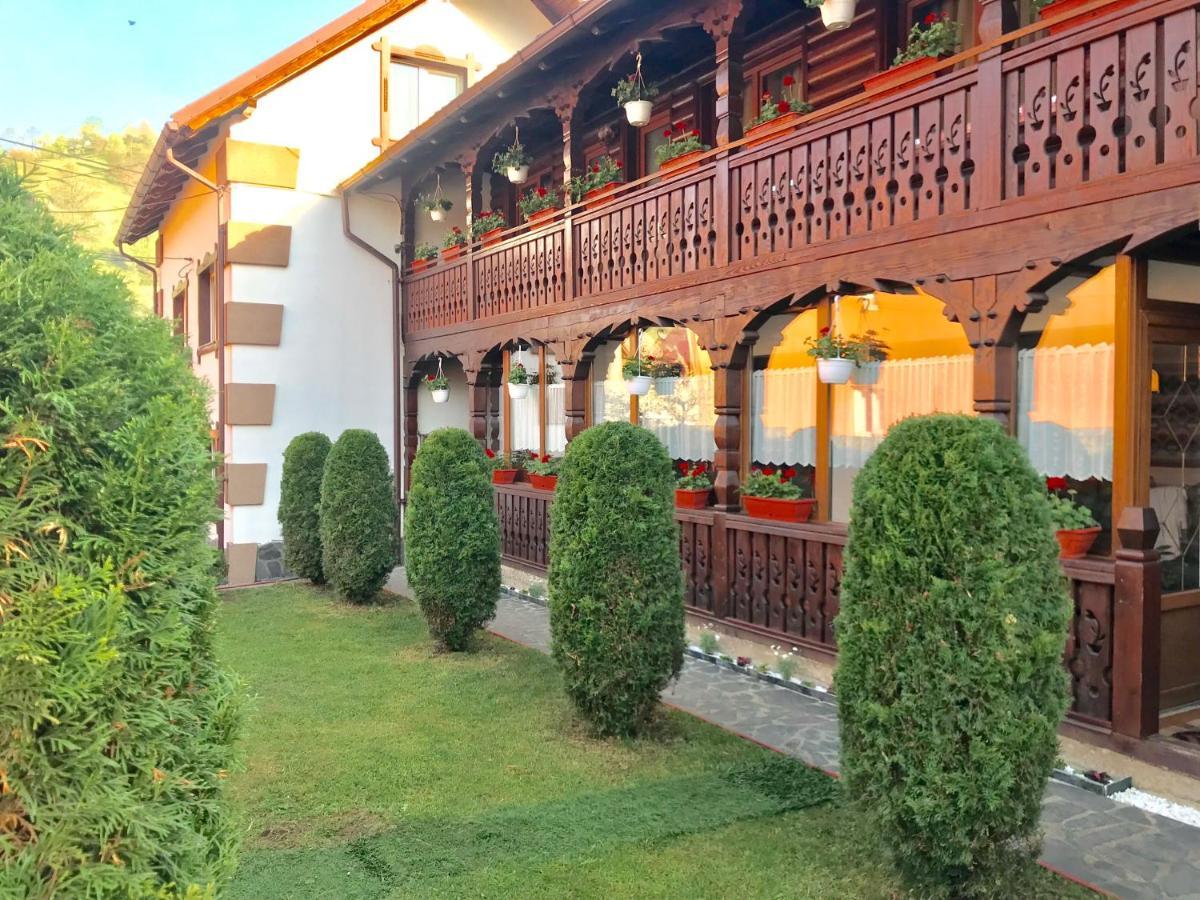 Pensiunea Cretuca Botiza Buitenkant foto