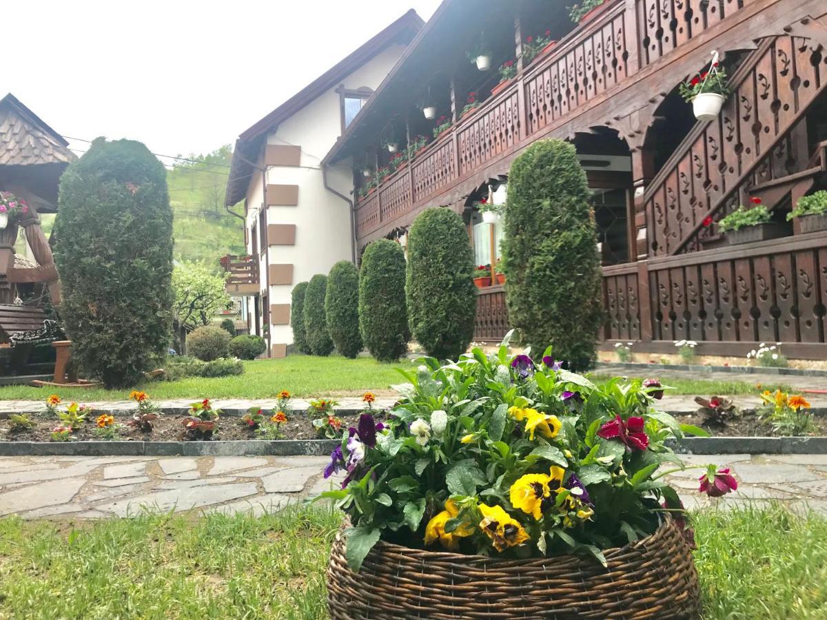 Pensiunea Cretuca Botiza Buitenkant foto